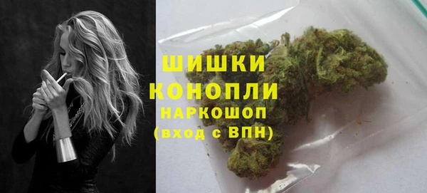 spice Арсеньев