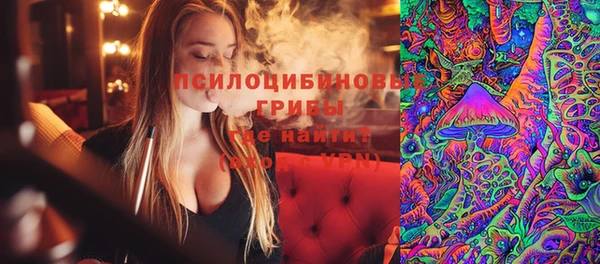 spice Арсеньев