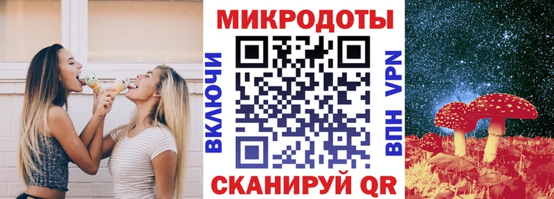 Псилоцибиновые грибы Psilocybine cubensis  Старая Русса 
